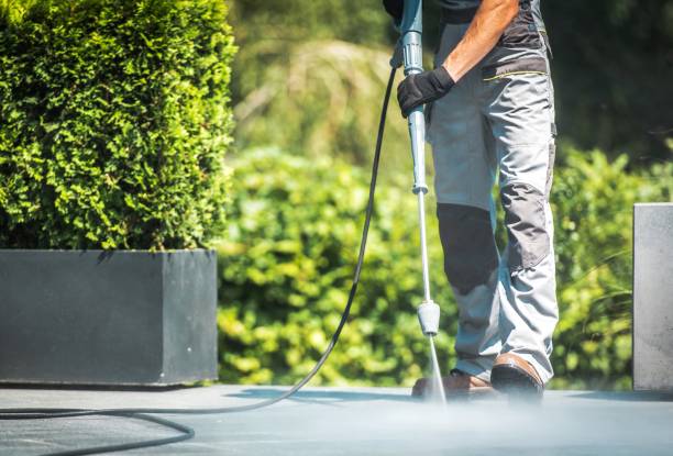 Boat and Dock Cleaning in Caddo Mills, TX
