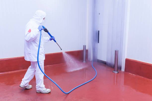 Best Playground Equipment Cleaning  in Caddo Mills, TX